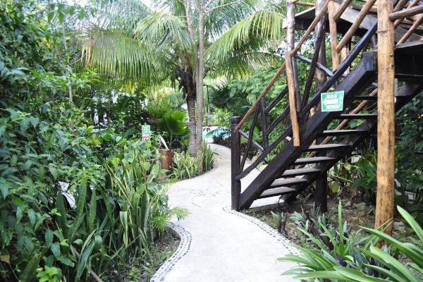 Green Tulum (Halbinsel Yucatán)